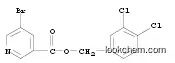 Molecular Structure of 1033692-97-5 (5-Bromo-nicotinic acid 3,4-dichloro-benzyl ester)